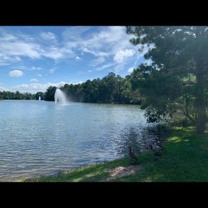 Meet your Posher, Heidi